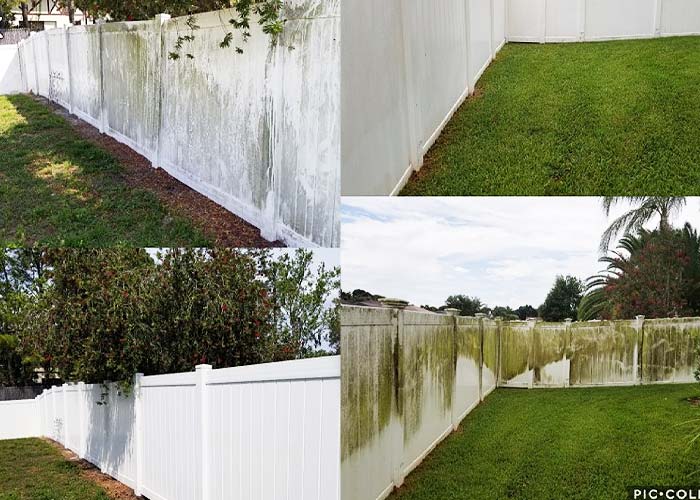 Pressure Washing and Soft Washing